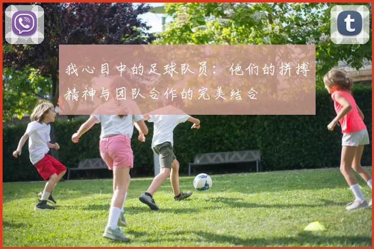 我心目中的足球队员：他们的拼搏精神与团队合作的完美结合