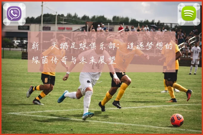 新潟天鹅足球俱乐部：追逐梦想的绿茵传奇与未来展望