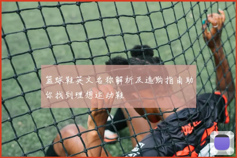 篮球鞋英文名称解析及选购指南助你找到理想运动鞋