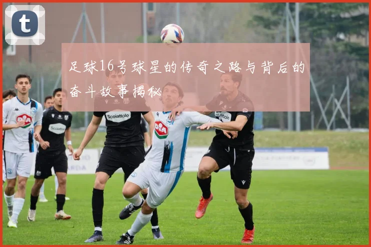 足球16号球星的传奇之路与背后的奋斗故事揭秘