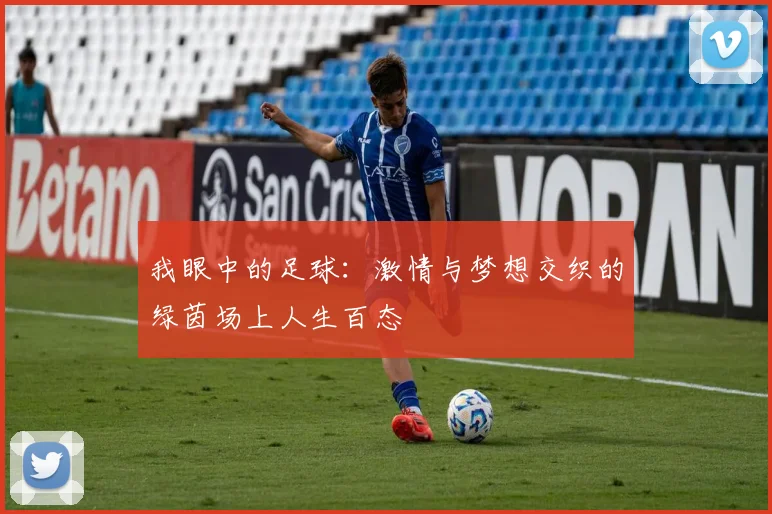 我眼中的足球：激情与梦想交织的绿茵场上人生百态