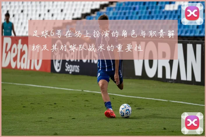足球6号在场上扮演的角色与职责解析及其对球队战术的重要性