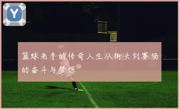篮球老李的传奇人生从街头到赛场的奋斗与梦想