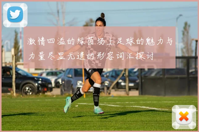 激情四溢的绿茵场上足球的魅力与力量尽显无遗的形容词汇探讨